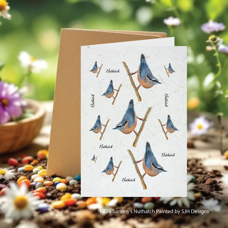 Sammy's Nuthatch Seed Cards