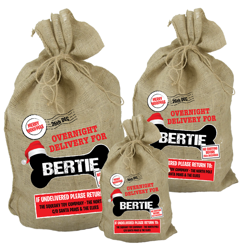 Overnight Delivery, Doggie Santa Sack