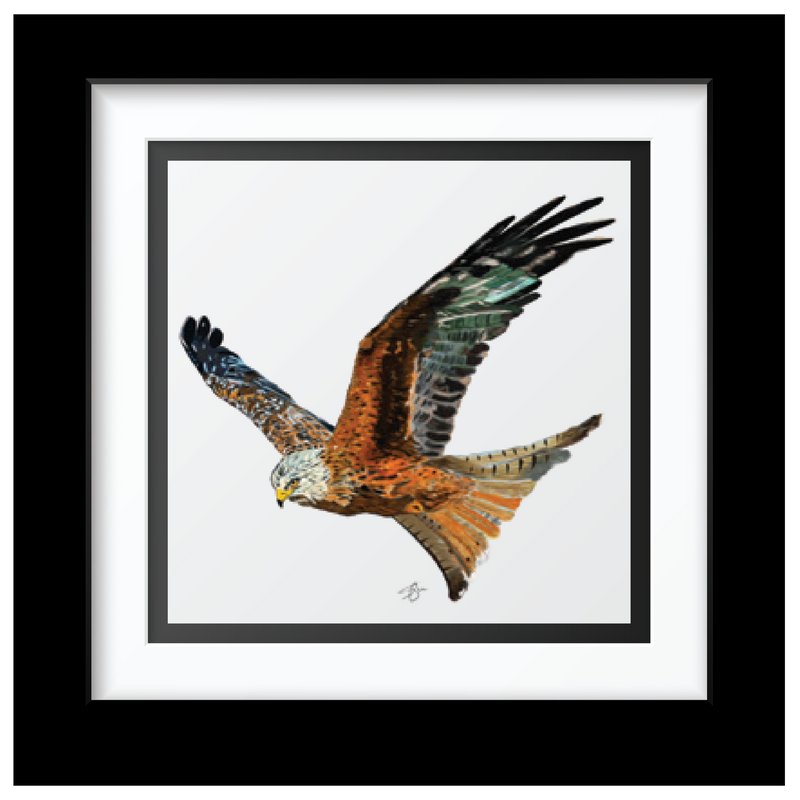 Sammy's Red Kite Art Print
