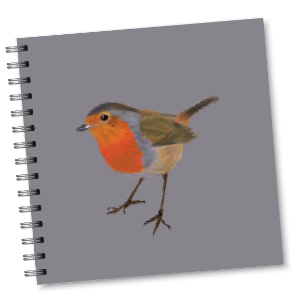 Sammy's Robin Sq Notebook