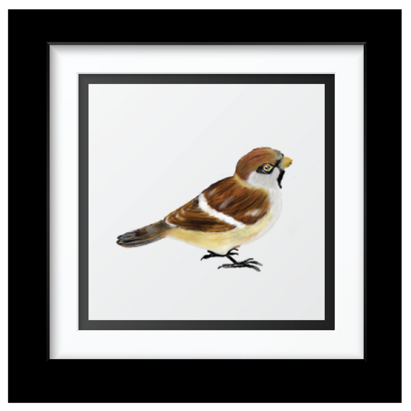 Sammy's sparrow Art Print