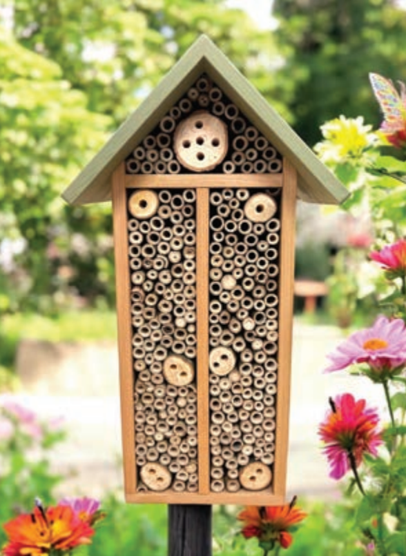 Century Bee Hotel