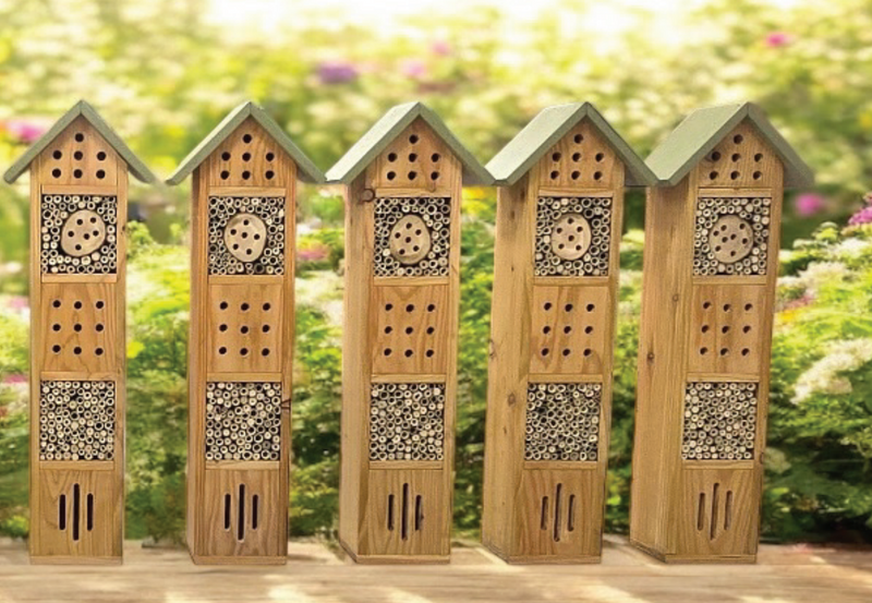 Buzz Bee Hotel
