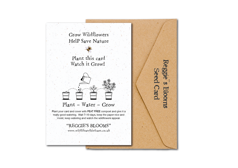 Bee Beautiful Wildflower Plantable Seed Card