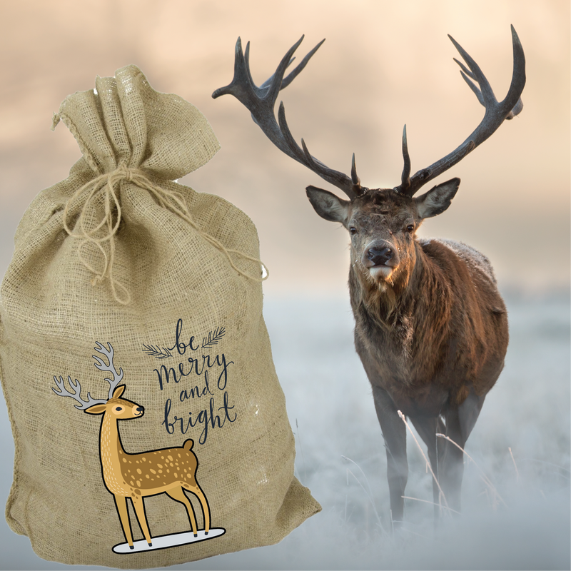 Merry Christmas, Be Merry and Bright Stag, Santa Sack