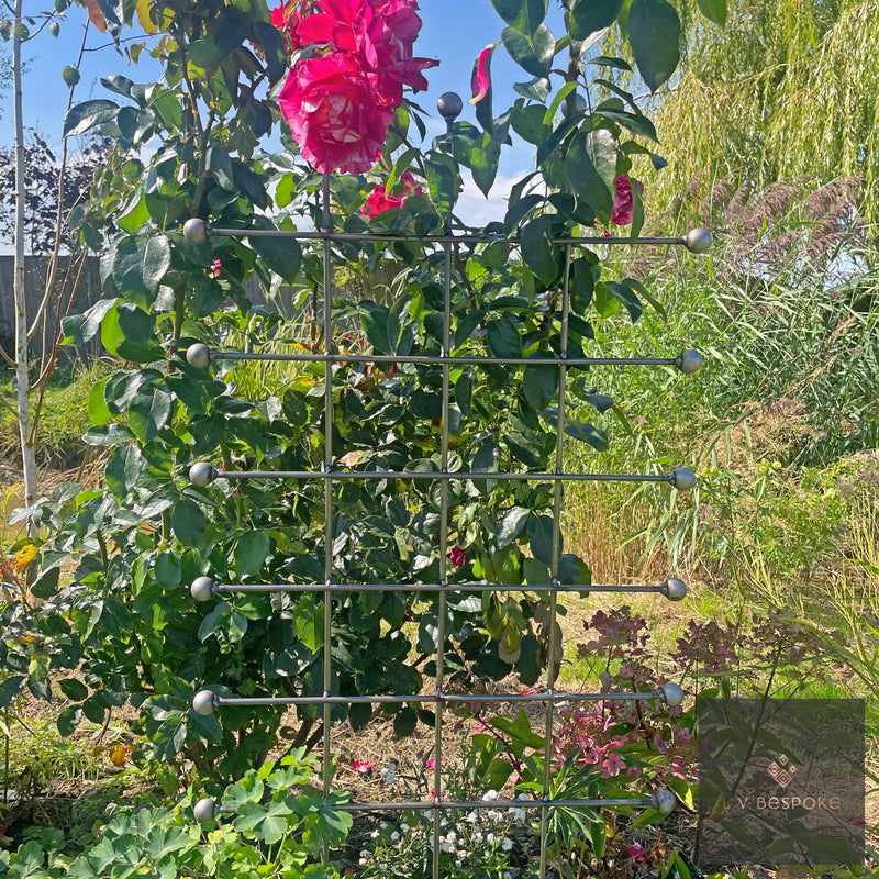 Trellis Panel