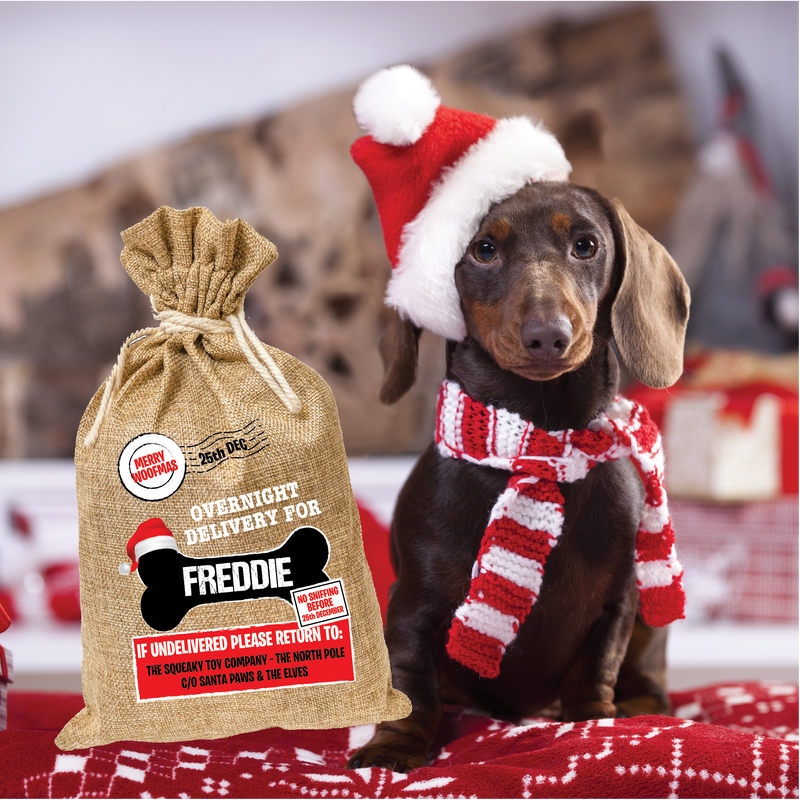 Overnight Delivery, Doggie Santa Sack