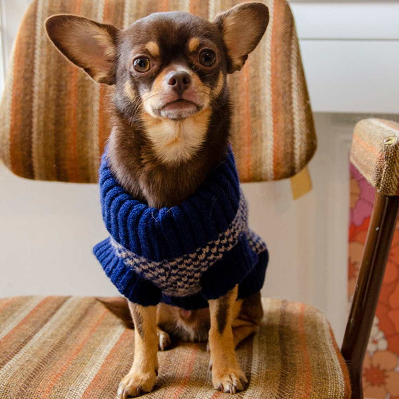 Navy Dog Jumper In Merino Lambswool