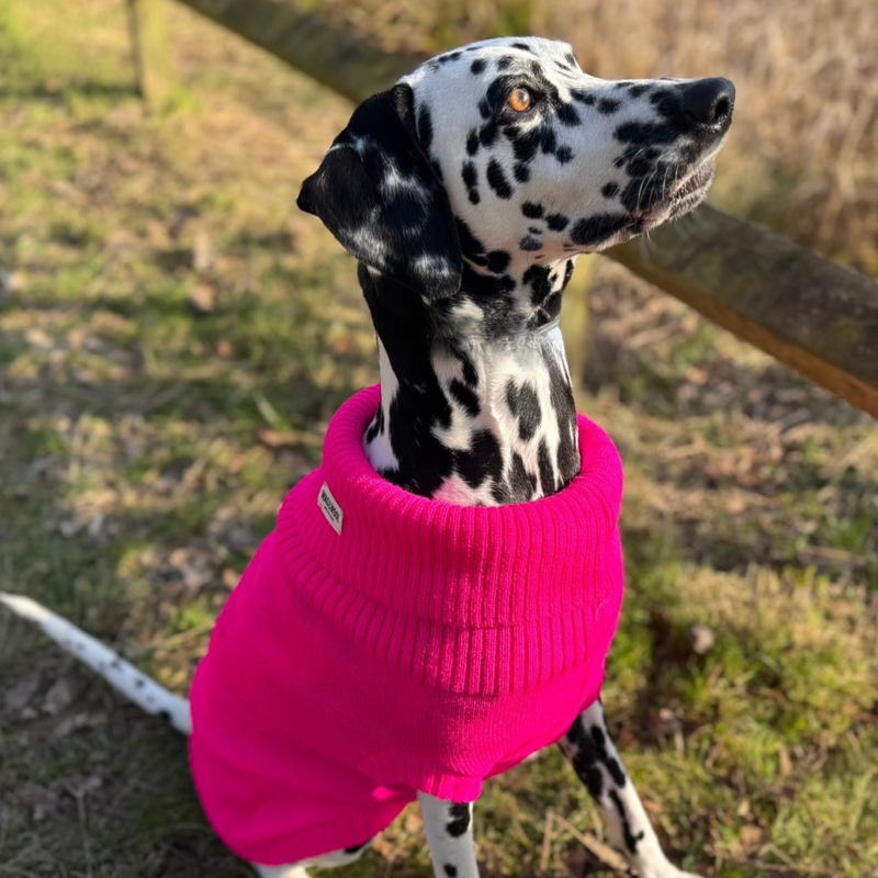 Extra Large British Wool Dog Jumper