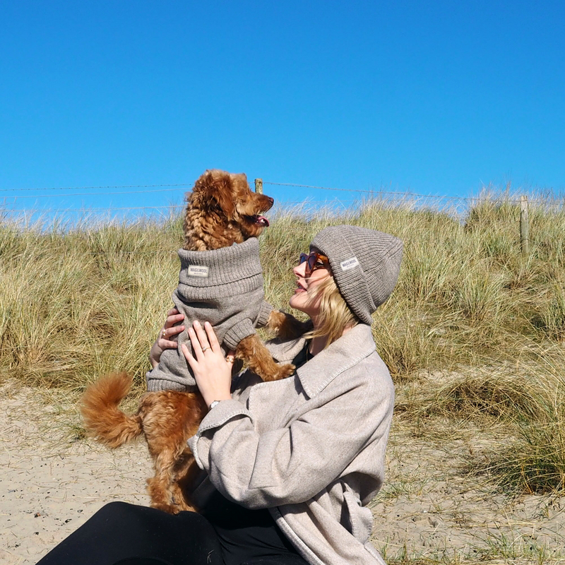 Oatmeal British Wool Dog Jumper