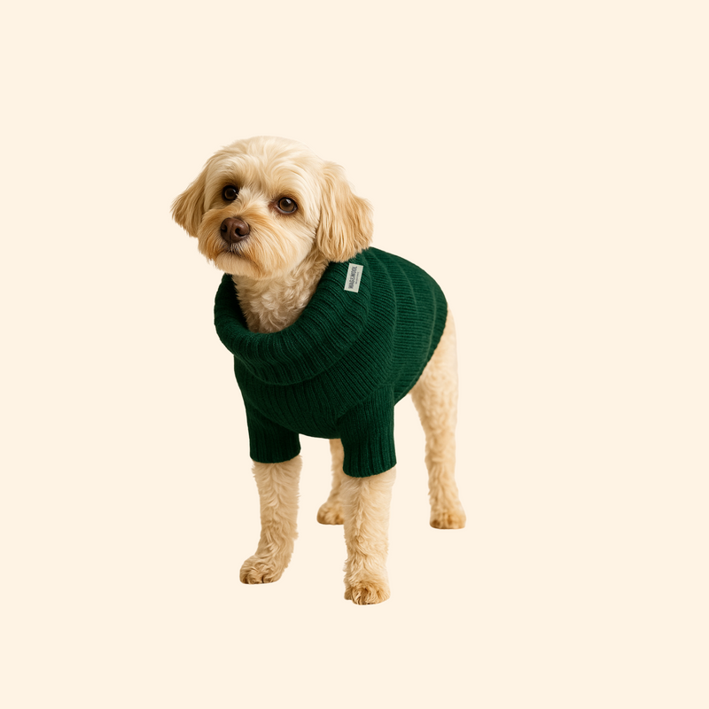 Forest Green British Wool Dog Jumper