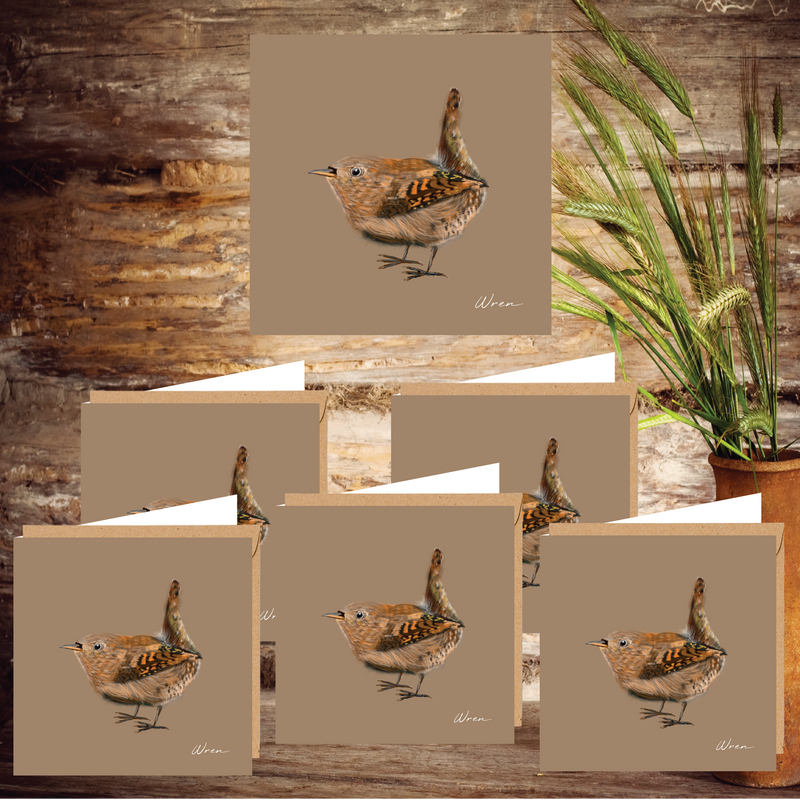 Sammy's Wren Notecards