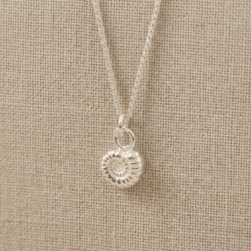 Ammonite Fossil Silver Charm