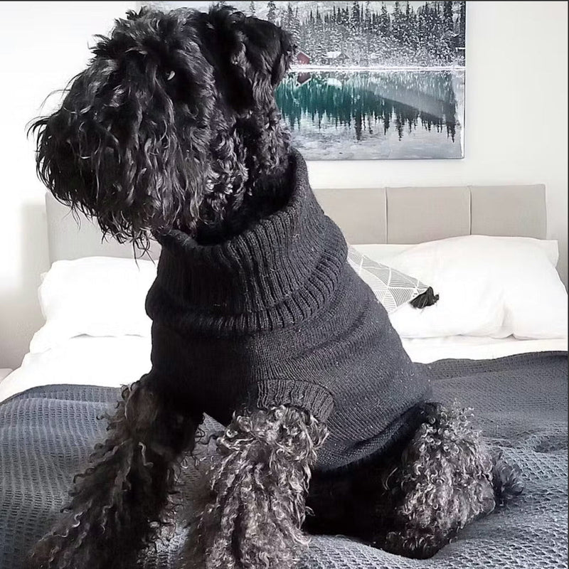 Black British Wool Dog Jumper