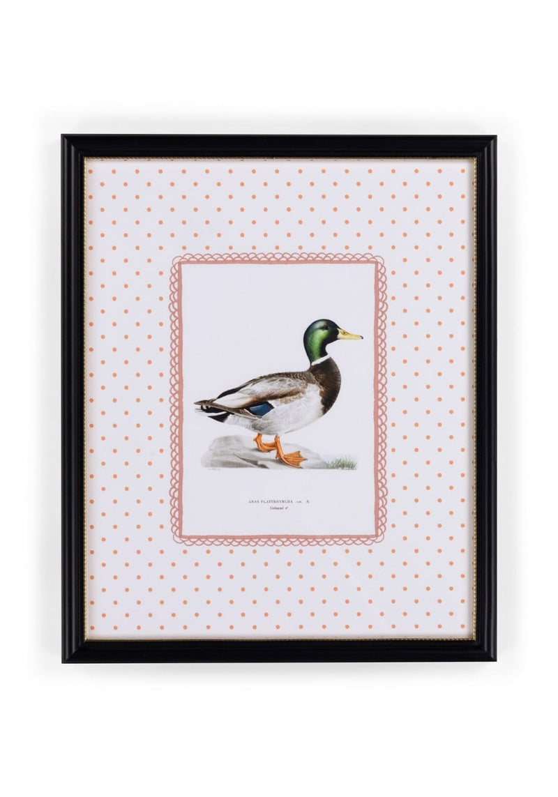 Feather and Grace Duck Print III