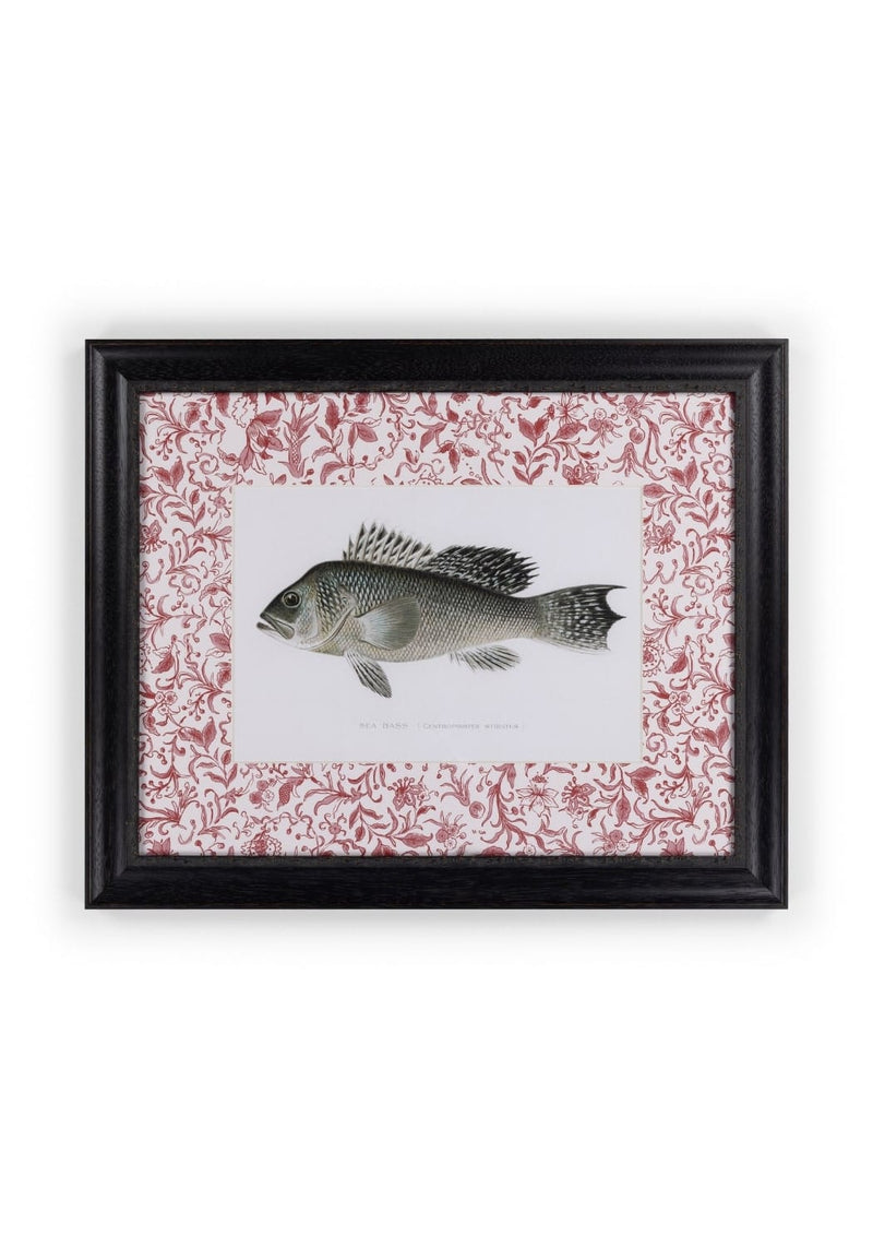 Fish III Framed Print Noble Vintage for the English Home