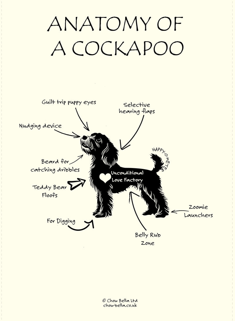 Anatomy of a Cockapoo Tea Towel – Fairtrade Organic Cotton Dog Lover Gift UK