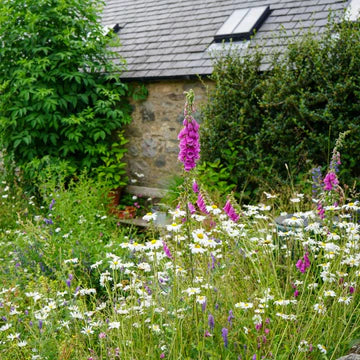 Meadowmania Cottage Garden Wildflower Seed Pouch