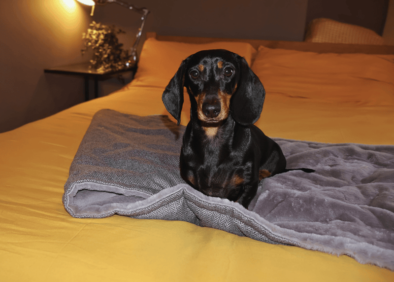 THE BALMORAL | LUXURY GREY HERRINGBONE & FAUX FUR REVERSIBLE DOG BLANKET