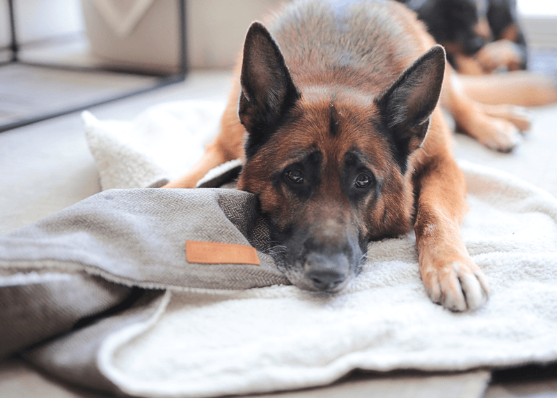 THE LINCOLN | LUXURY TWEED & FAUX FUR REVERSIBLE DOG BLANKET