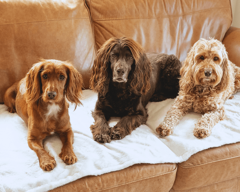 THE LINCOLN | LUXURY TWEED & FAUX FUR REVERSIBLE DOG BLANKET