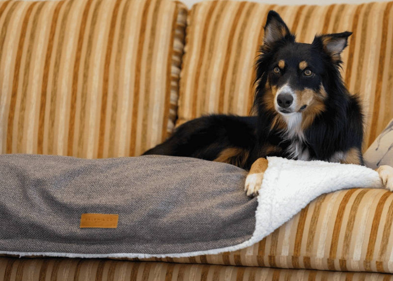 THE LINCOLN | LUXURY TWEED & FAUX FUR REVERSIBLE DOG BLANKET