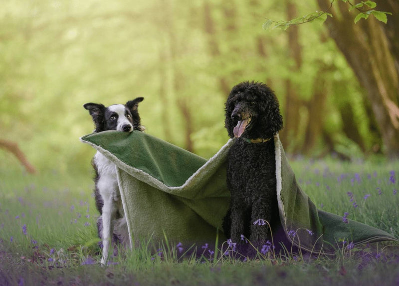 THE RICHMOND | LUXURY GREEN STONEWASHED & SHERPA REVERSIBLE DOG BLANKET