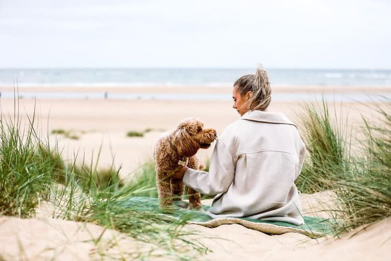 THE RICHMOND | LUXURY GREEN STONEWASHED & SHERPA REVERSIBLE DOG BLANKET