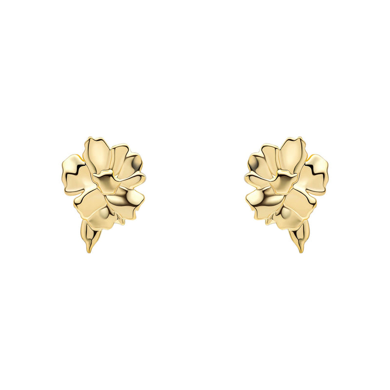 Laura Ashley Fashion Albertine Rose Earrings
