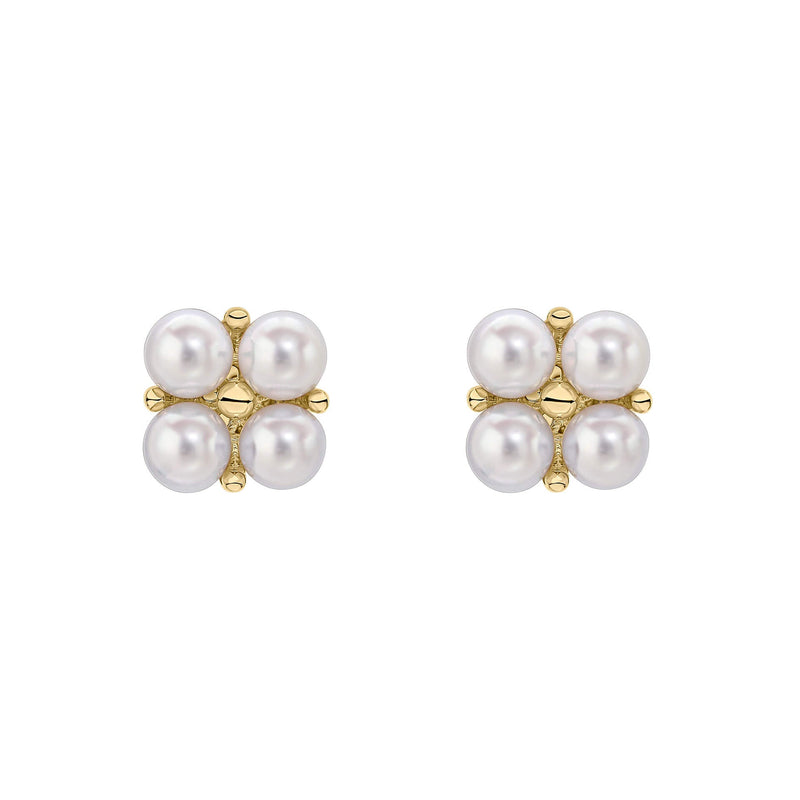 Elements Gold Floral Freshwater Pearl Earrings