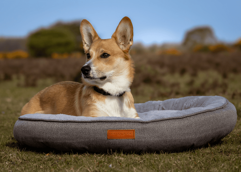 THE BALMORAL | LUXURY HERRINGBONE CALMING DONUT DOG BED