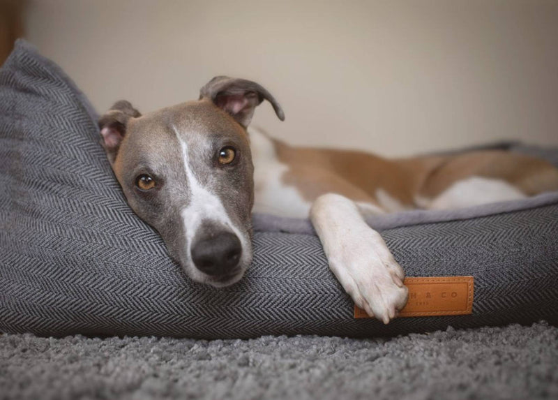 THE BALMORAL | LUXURY HERRINGBONE BOLSTER DOG BED