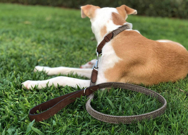 THE LINCOLN | LUXURY TWEED & LEATHER DOG LEAD