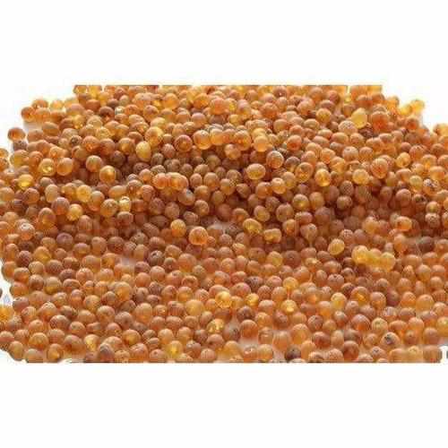 Child Bees Knees Raw Honey Baltic Amber Anklet Bracelet