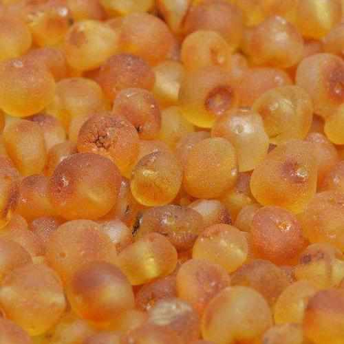 Child Nurture Raw Honey Pink Bead Dragon Agate Baltic Amber Anklet Bracelet