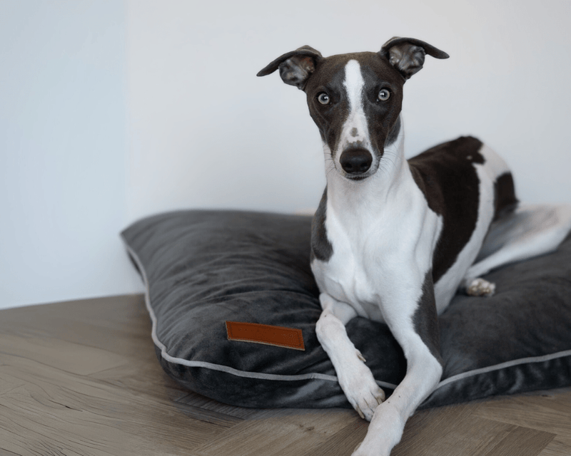 LUXURY ORTHOPAEDIC MEMORY FOAM DOG CRATE MATTRESS | GREY
