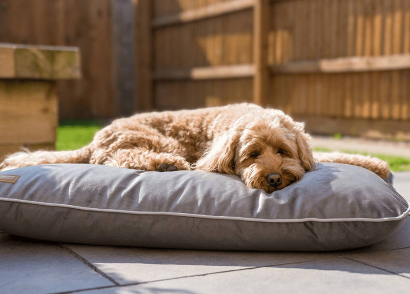 LUXURY ORTHOPAEDIC MEMORY FOAM DOG CRATE MATTRESS | GREY