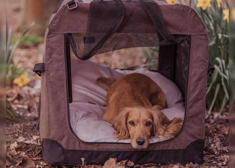 LUXURY ORTHOPAEDIC MEMORY FOAM DOG CRATE MATTRESS | PINK