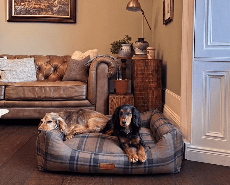 THE MARLOW | LUXURY TARTAN BOLSTER DOG BED
