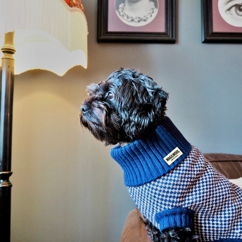 Navy Dog Jumper In Merino Lambswool