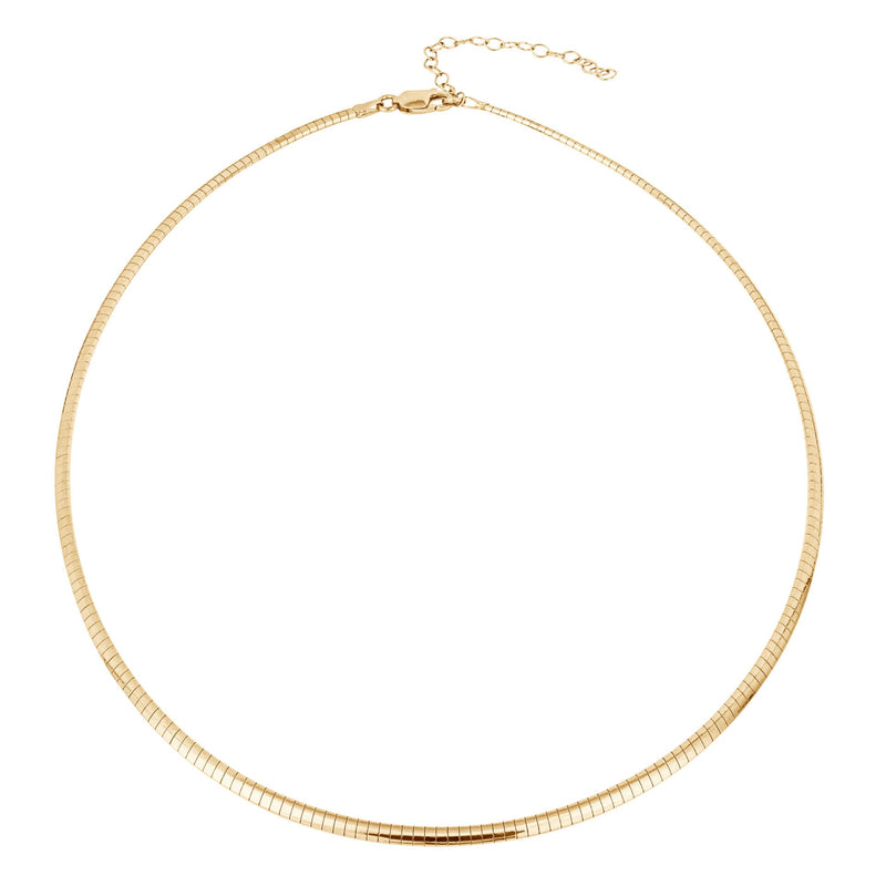 Beginnings Omega Chain Necklace