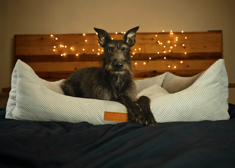 THE HIGHCLERE | LUXURY MEMORY FOAM BOLSTER DOG BED