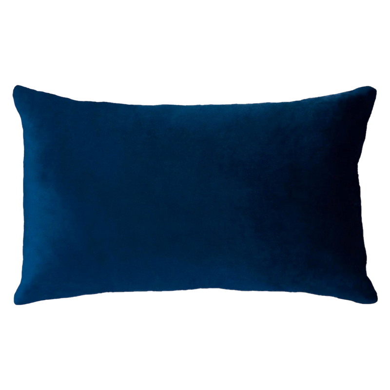 Netflix & Chill - Slogan Needlepoint Pillow