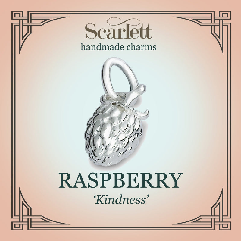Raspberry Silver Charm