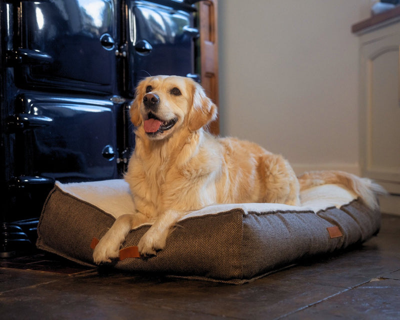 THE LINCOLN | LUXURY TWEED FLAT PILLOW DOG BED