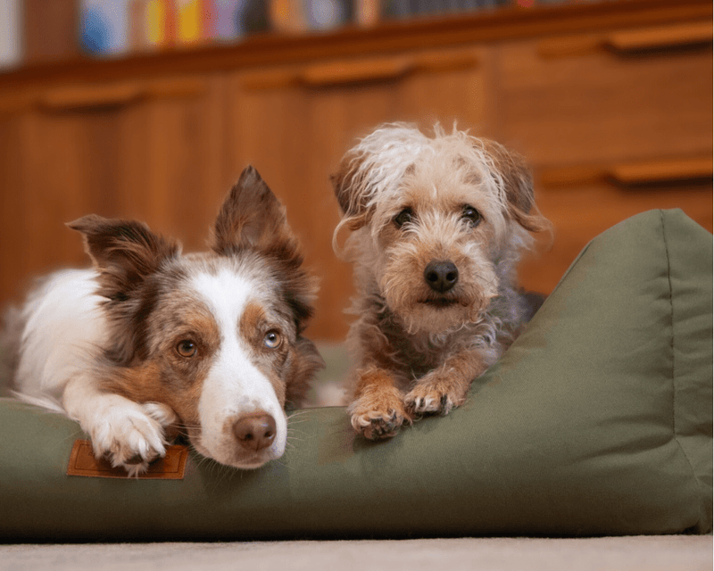 THE HENLEY | LUXURY WATERPROOF BOLSTER DOG BED