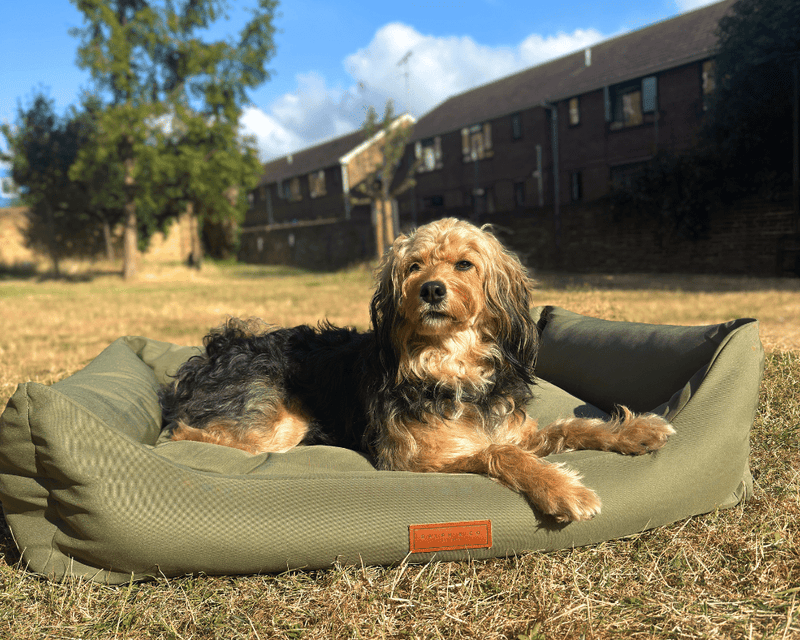 THE HENLEY | LUXURY WATERPROOF BOLSTER DOG BED
