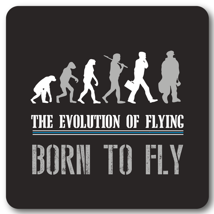 The Evolution of Flying, Born to Fly Metal Wall Sign