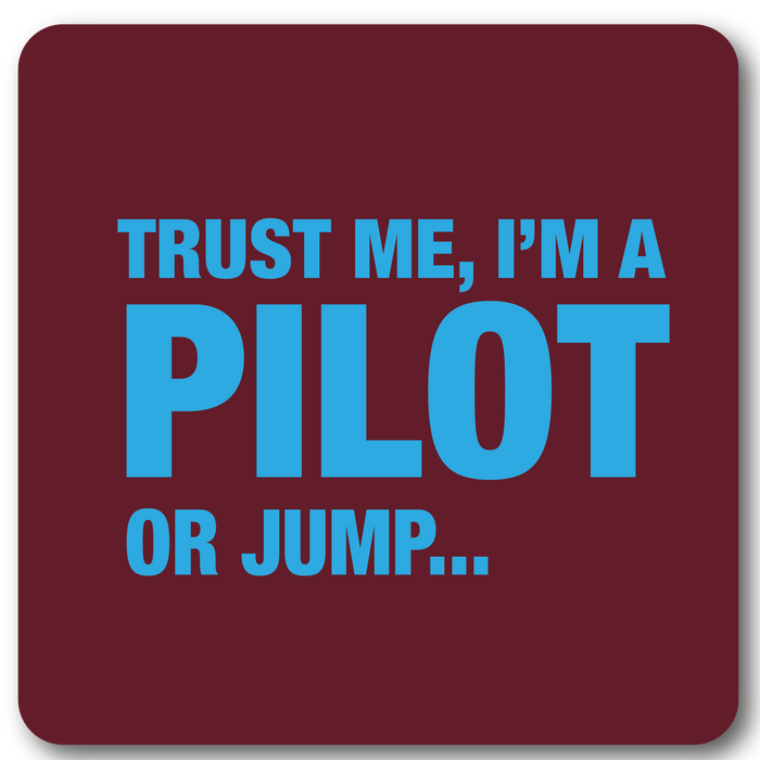 Trust me I'm a pilot Metal Wall Sign