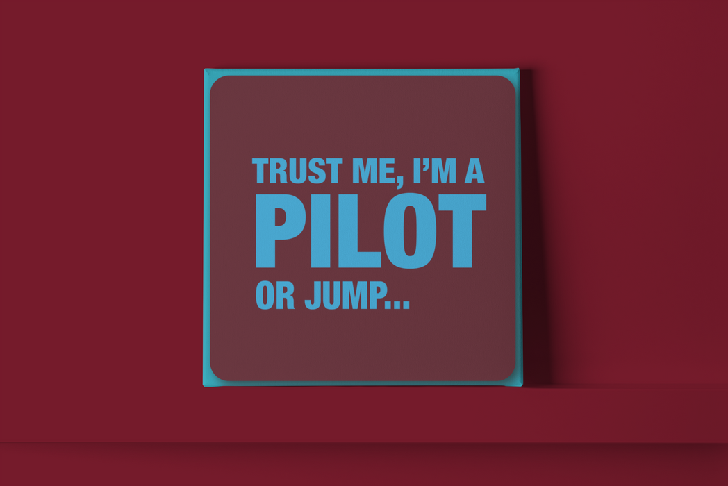 Trust me I'm a pilot Metal Wall Sign